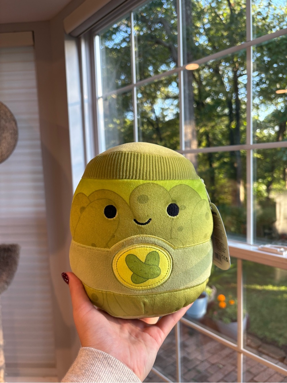 Zaid the green pickle jar FTM squishmallow NWT 8in